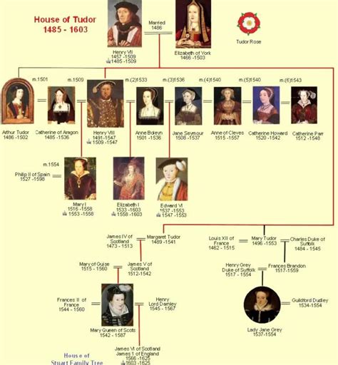 henry tudor vii children.